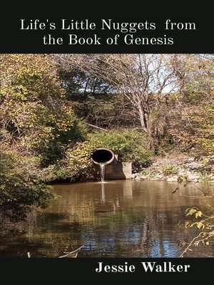 cover image of Life's Little Nuggets  from the Book of Genesis